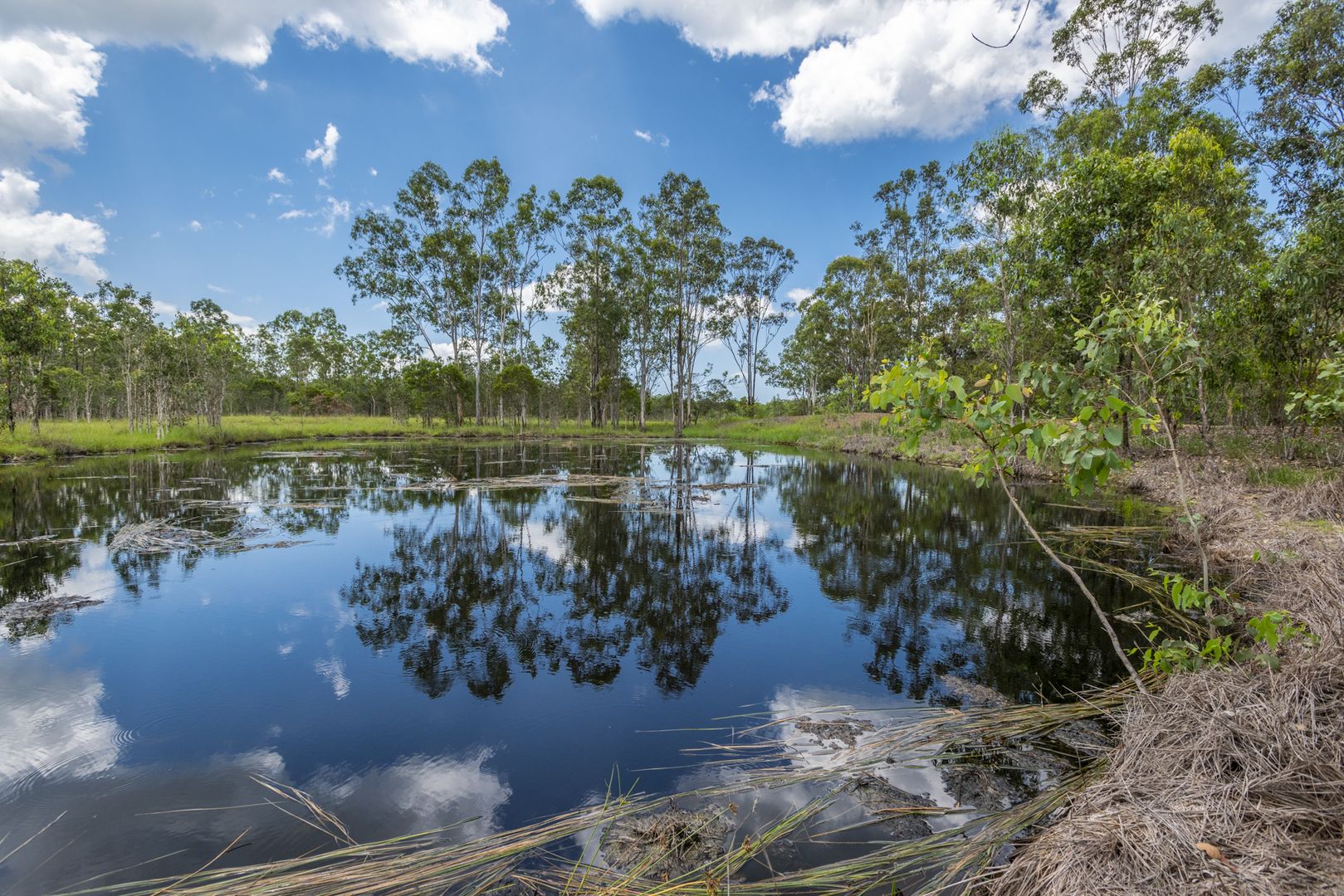 174 (Lot 2) Oyster Creek Road, Oyster Creek QLD 4674 Domain