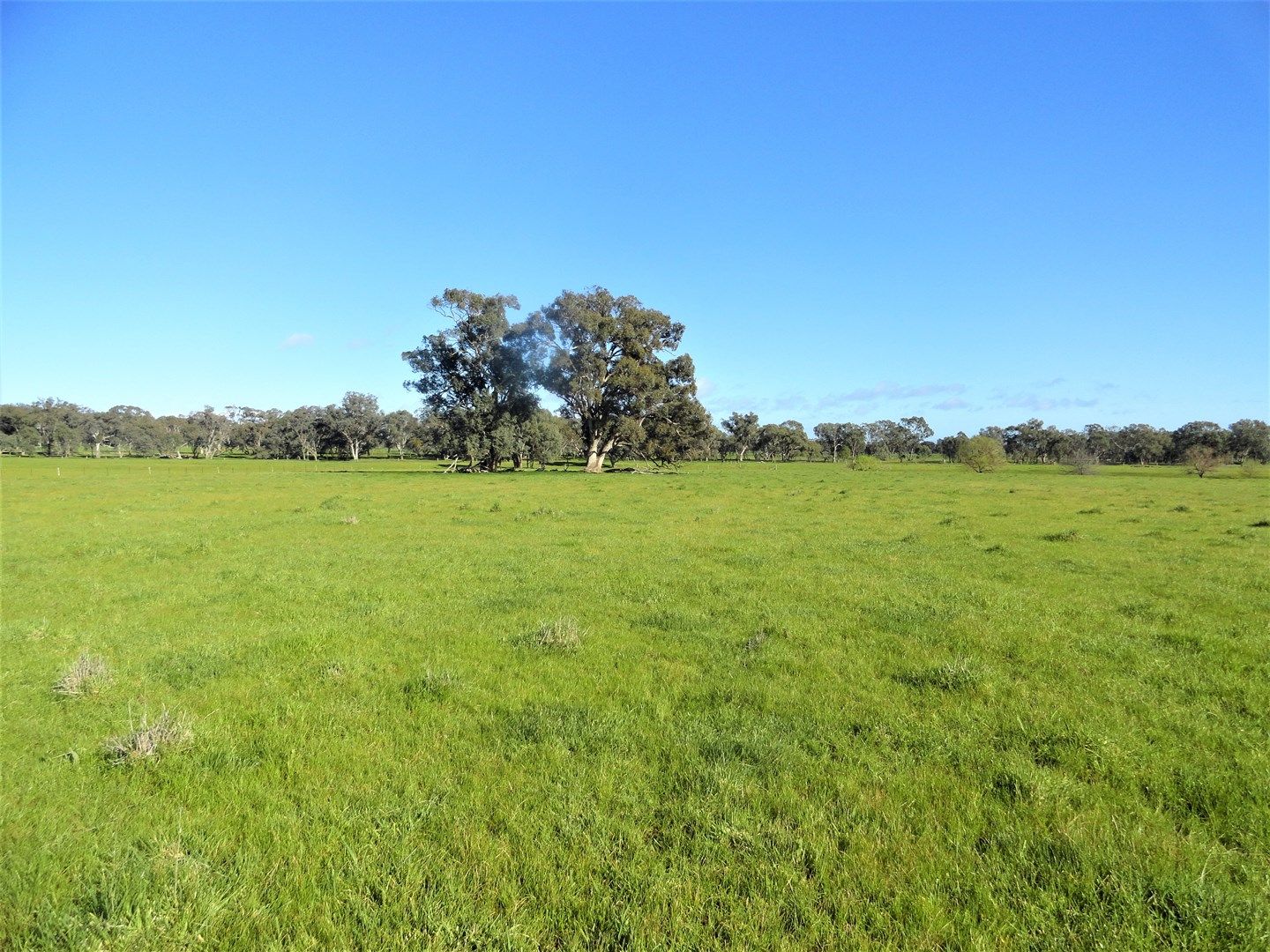 SPRING LAWN, GAYFER ROAD, Chiltern VIC 3683, Image 0