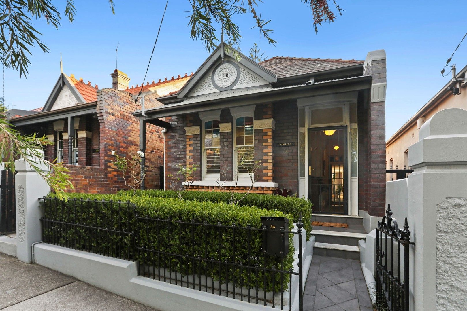 56 Elswick Street, Leichhardt NSW 2040 House For Rent Domain