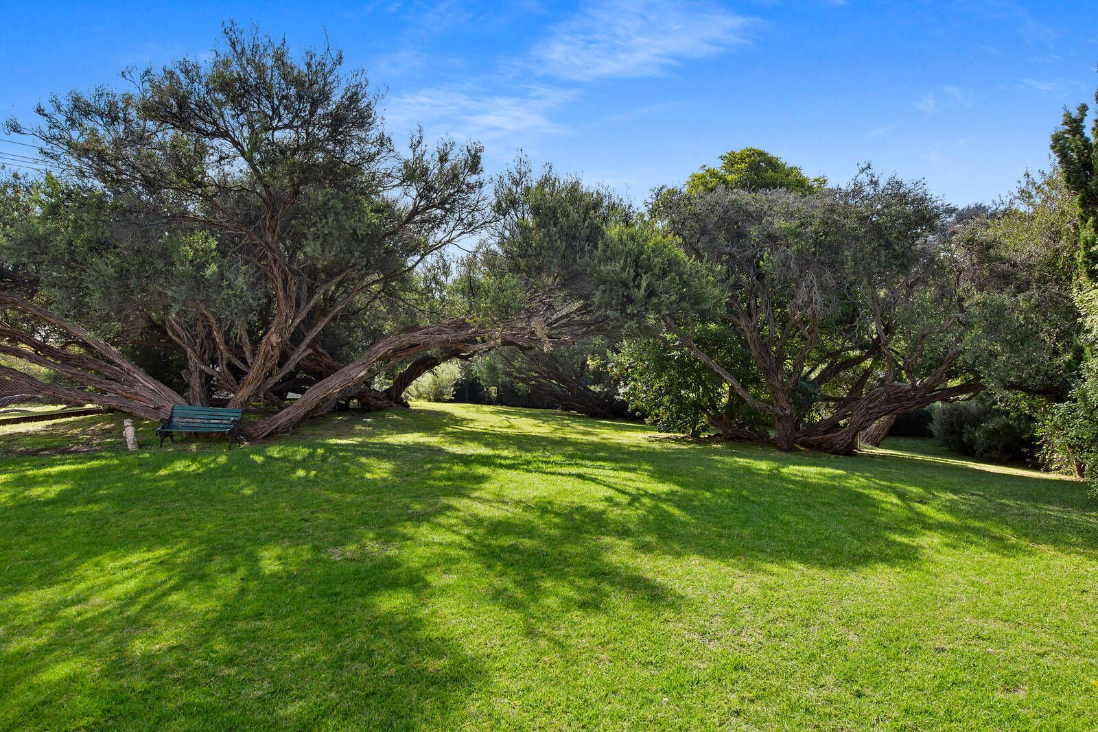 18 Terry Avenue, Sorrento VIC 3943, Image 2