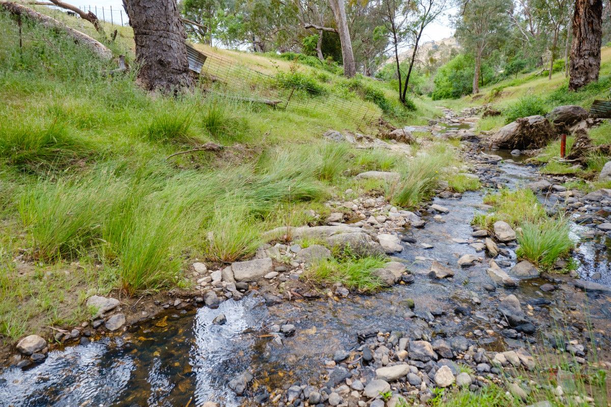 Castle Creek Road, Castle Creek VIC 3691, Image 1