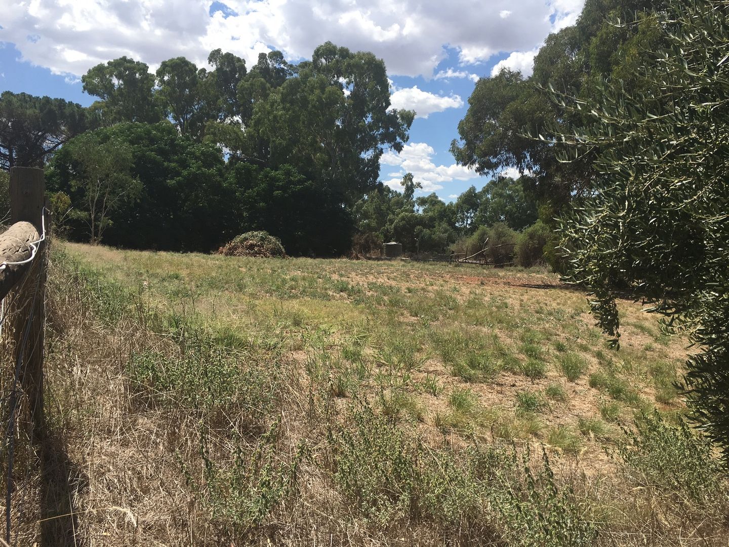 Lot/323 Young Street, Mintaro SA 5415, Image 1