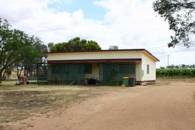 Picture of 859 Woorinen - Vinifera Road, VINIFERA VIC 3591