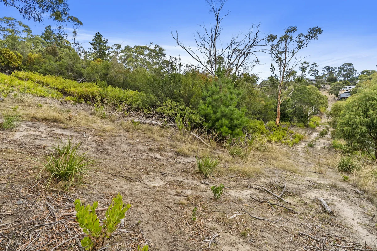 Image 9