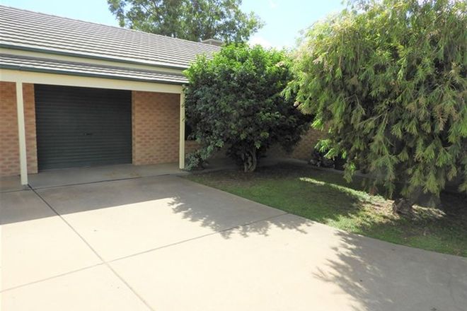 Picture of 5/2 Pittman Parade, WARREN NSW 2824