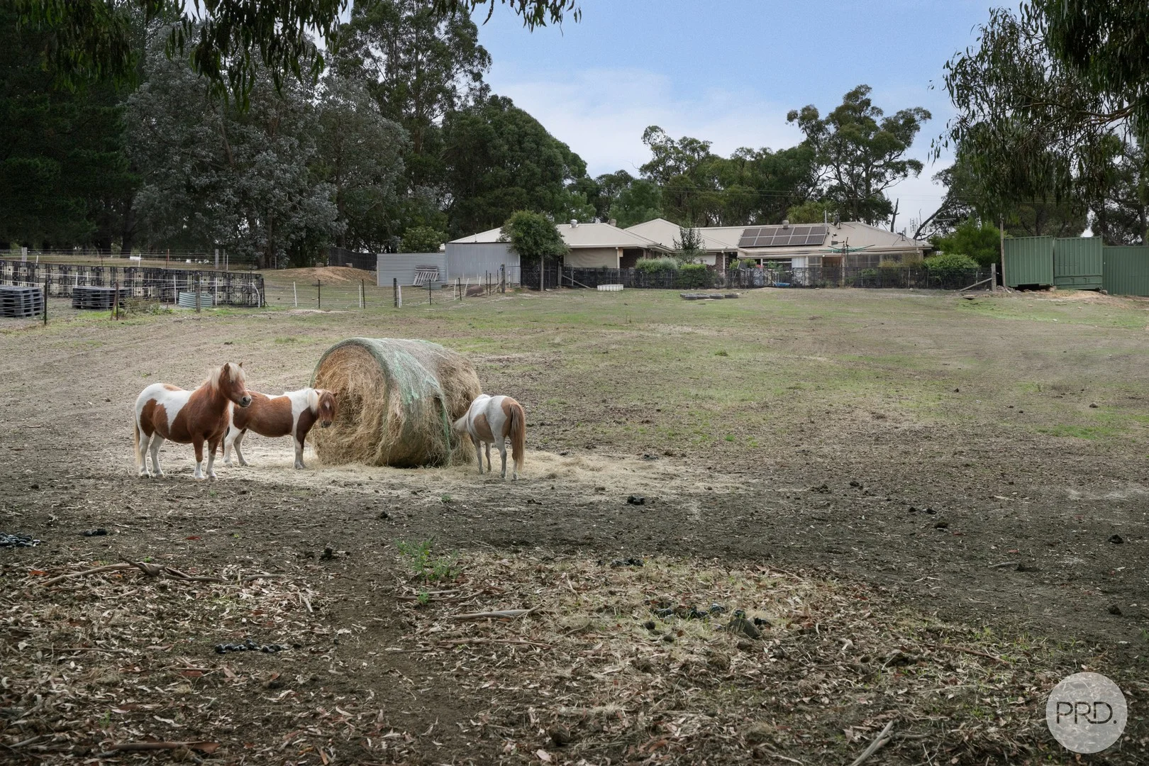 Additional image 25 of 59 Henlin Park Road, Smythesdale VIC 3351