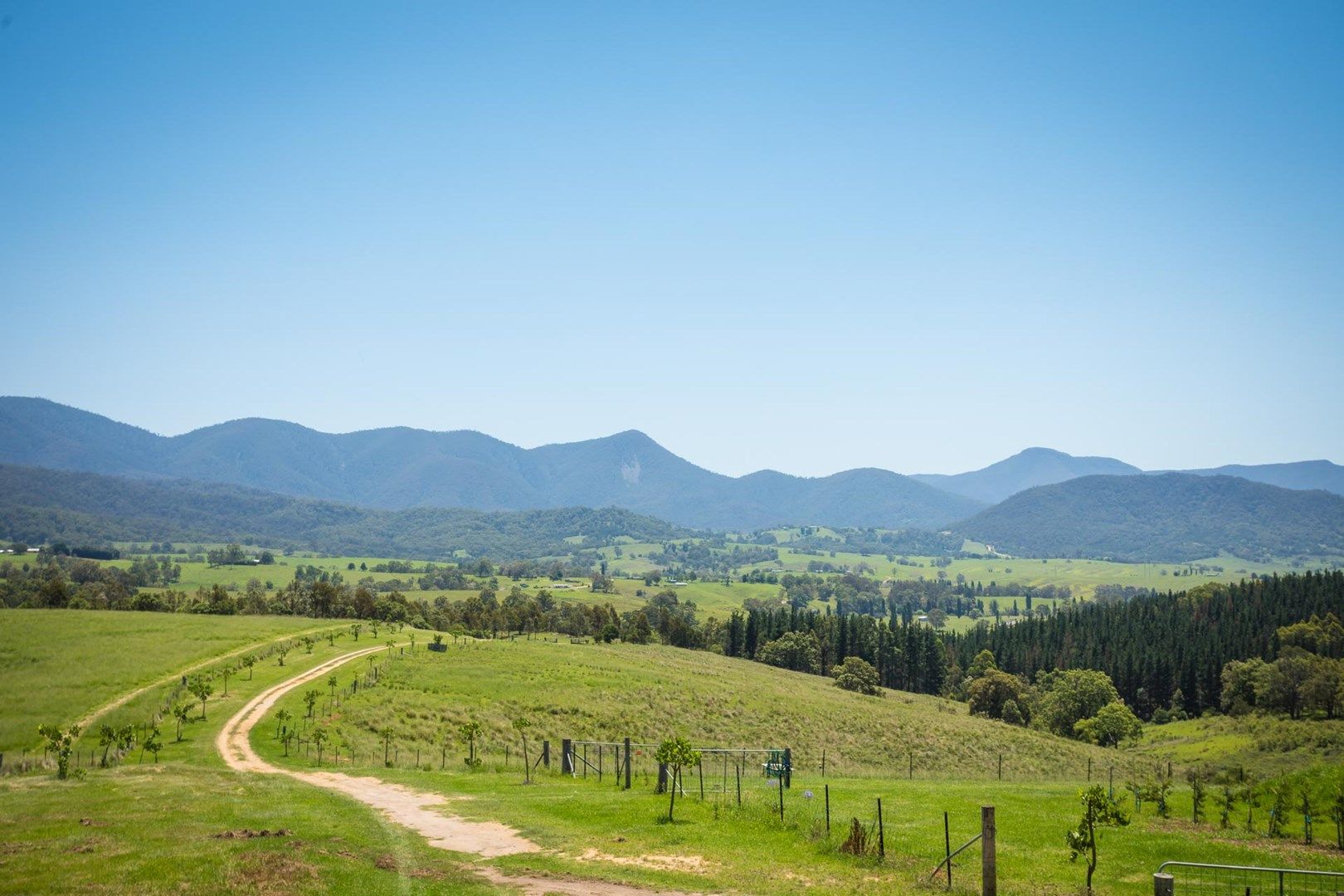 3537 Snowy Mtns Hwy, Bemboka NSW 2550, Image 0