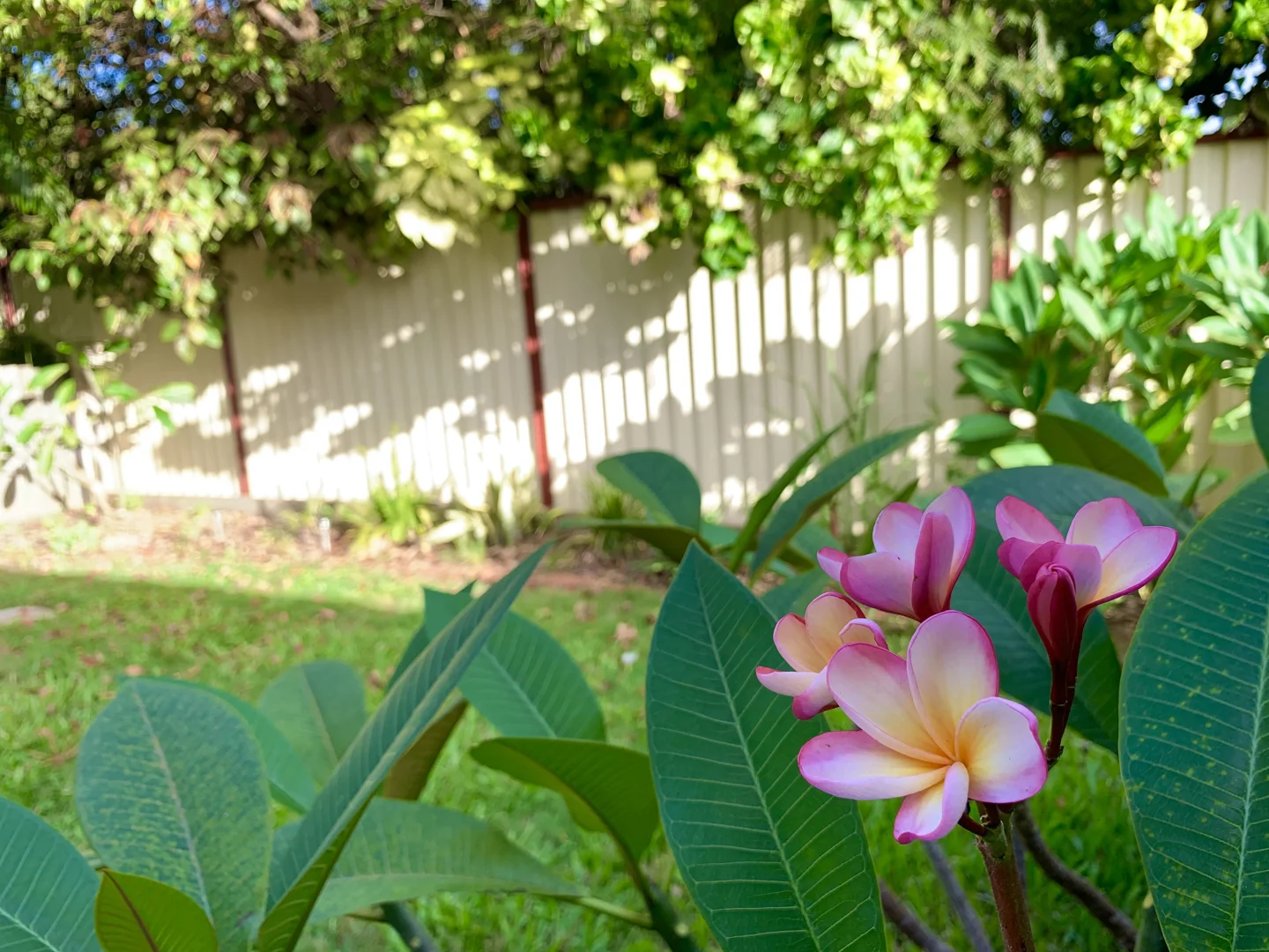 Additional image 17 of 37/128 Benowa Road, Southport QLD 4215