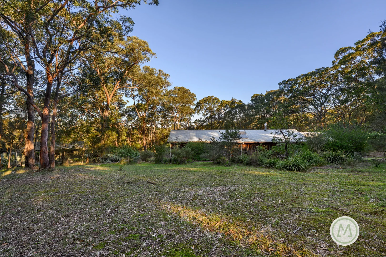 Image 13