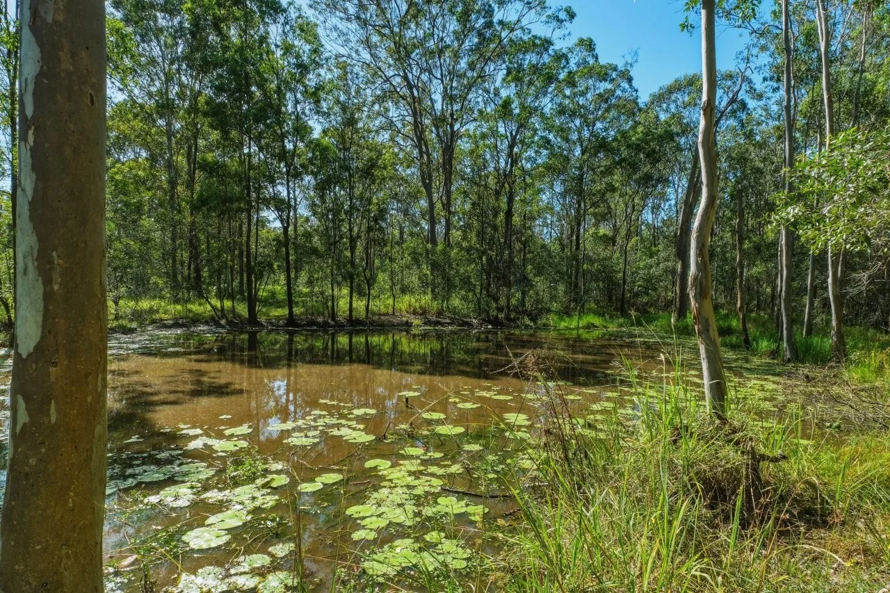 Additional image 20 of 138 Donald Drive, Curra QLD 4570