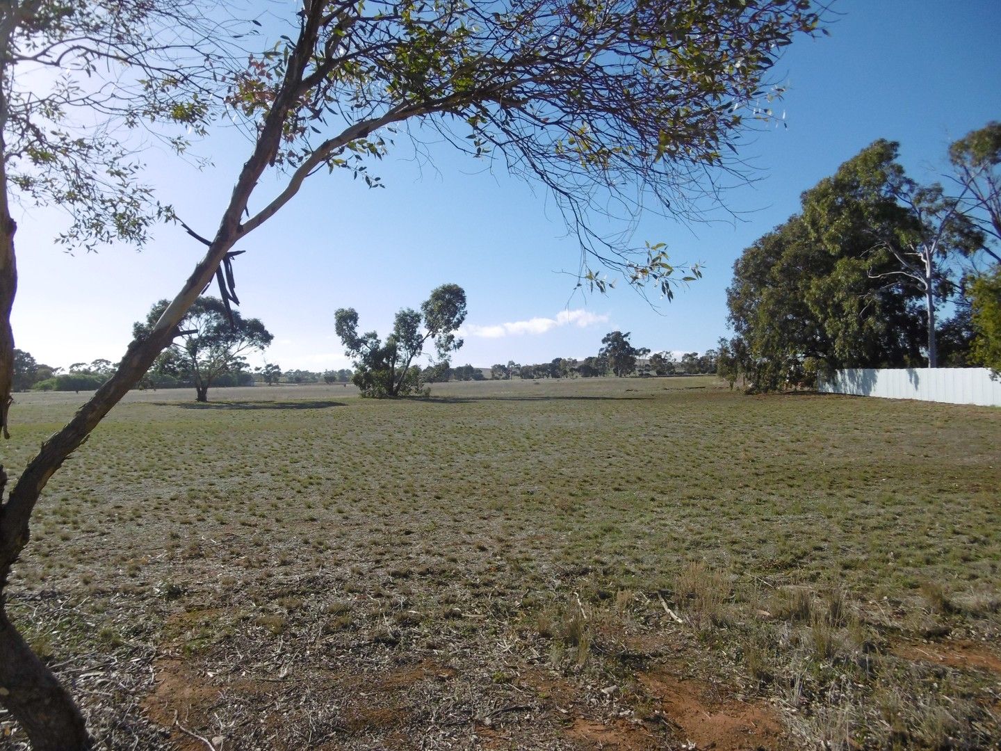 17 Cronin Street, Jamestown SA 5491, Image 1