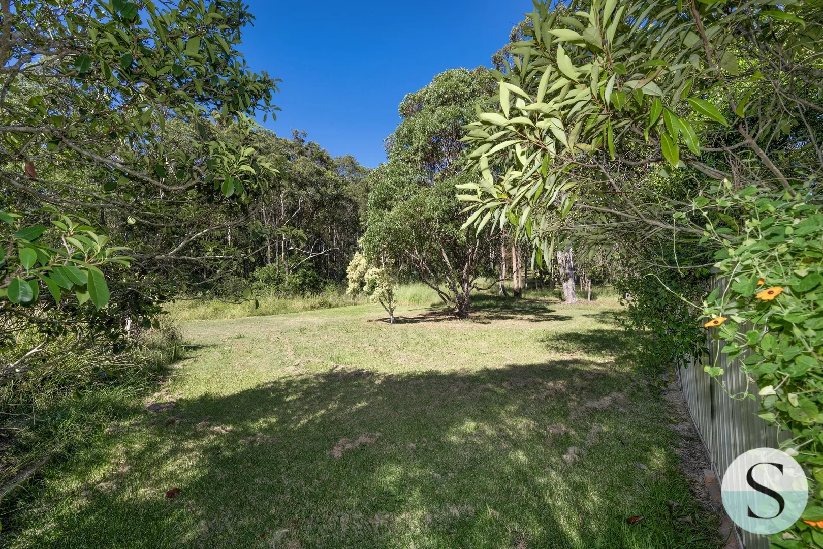 Image 29
