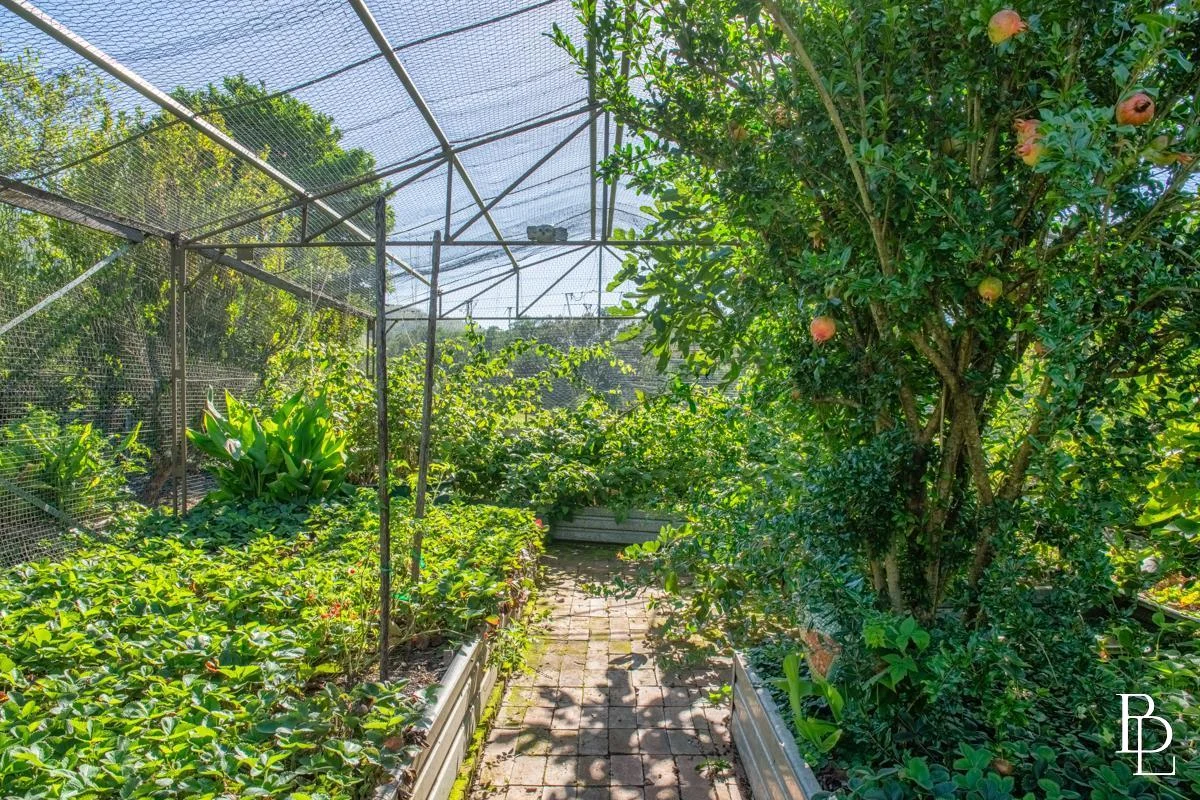 Additional image 40 of Wattamolla NSW 2535