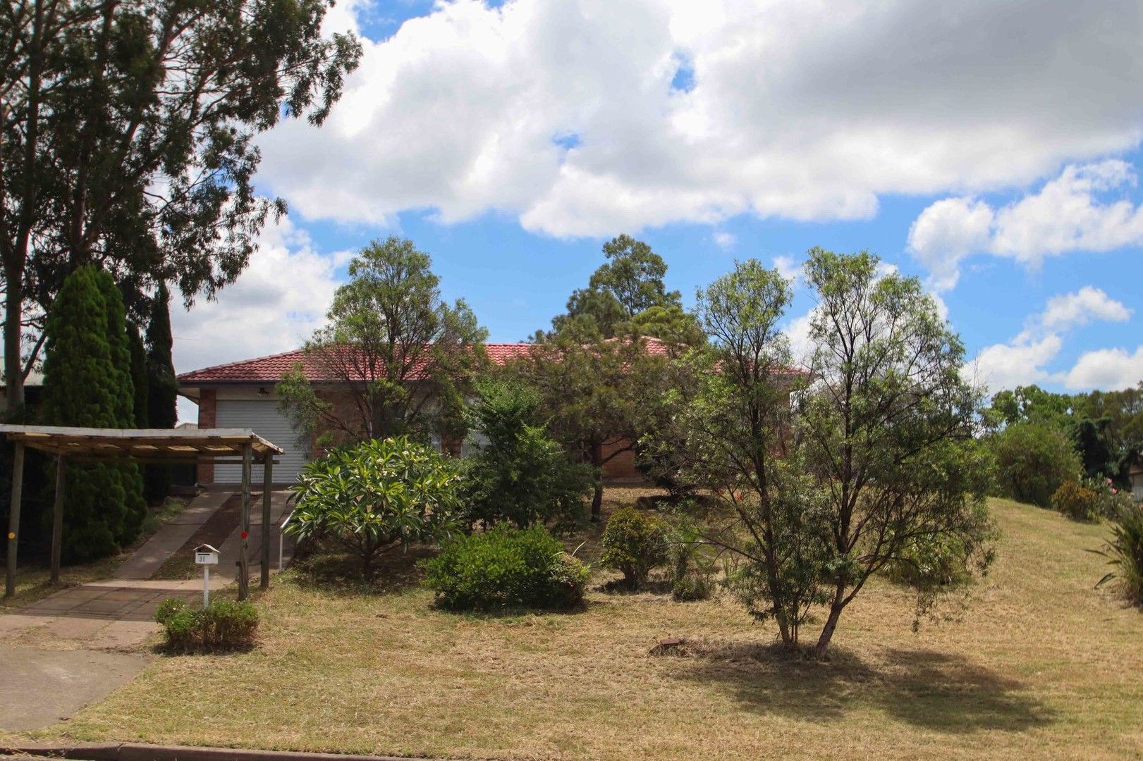 31 Gardner Circuit, Singleton Heights NSW 2330, Image 0