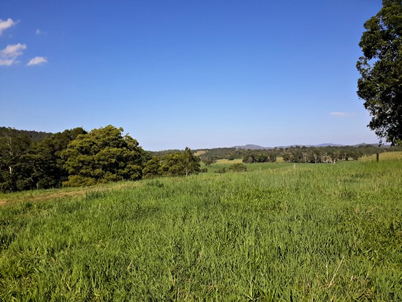 Lot 119 Greenwood Road, Ravenshoe QLD 4888