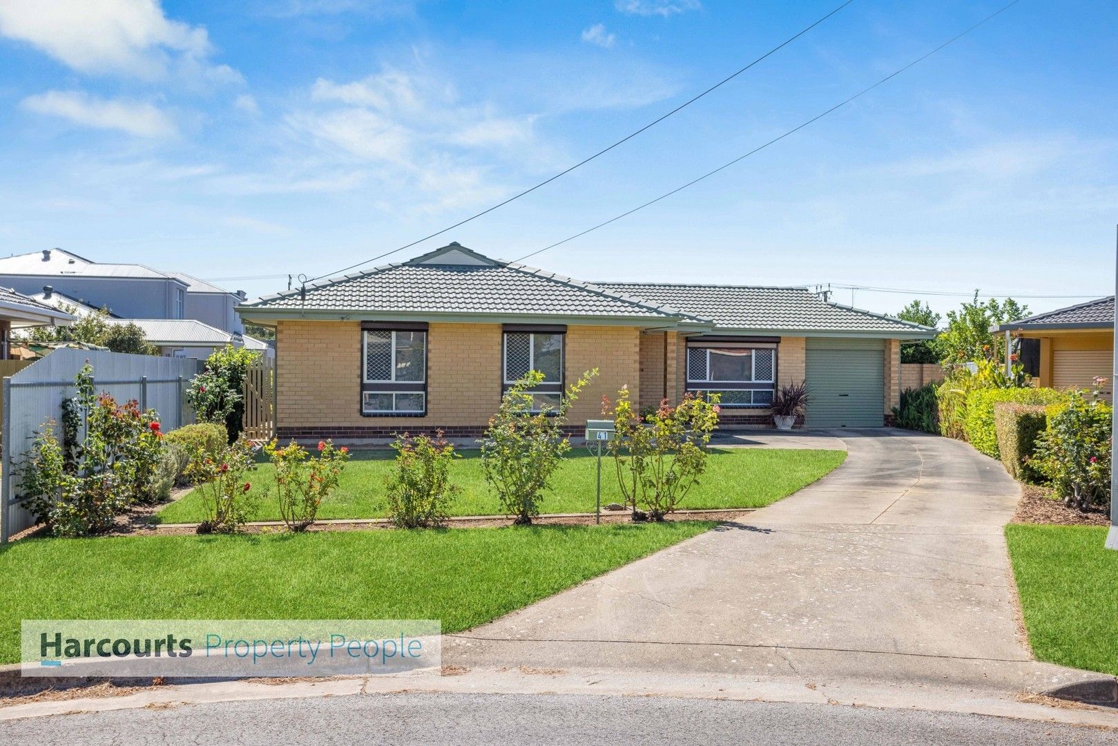 41 Cooke Street, Findon SA 5023, Image 0