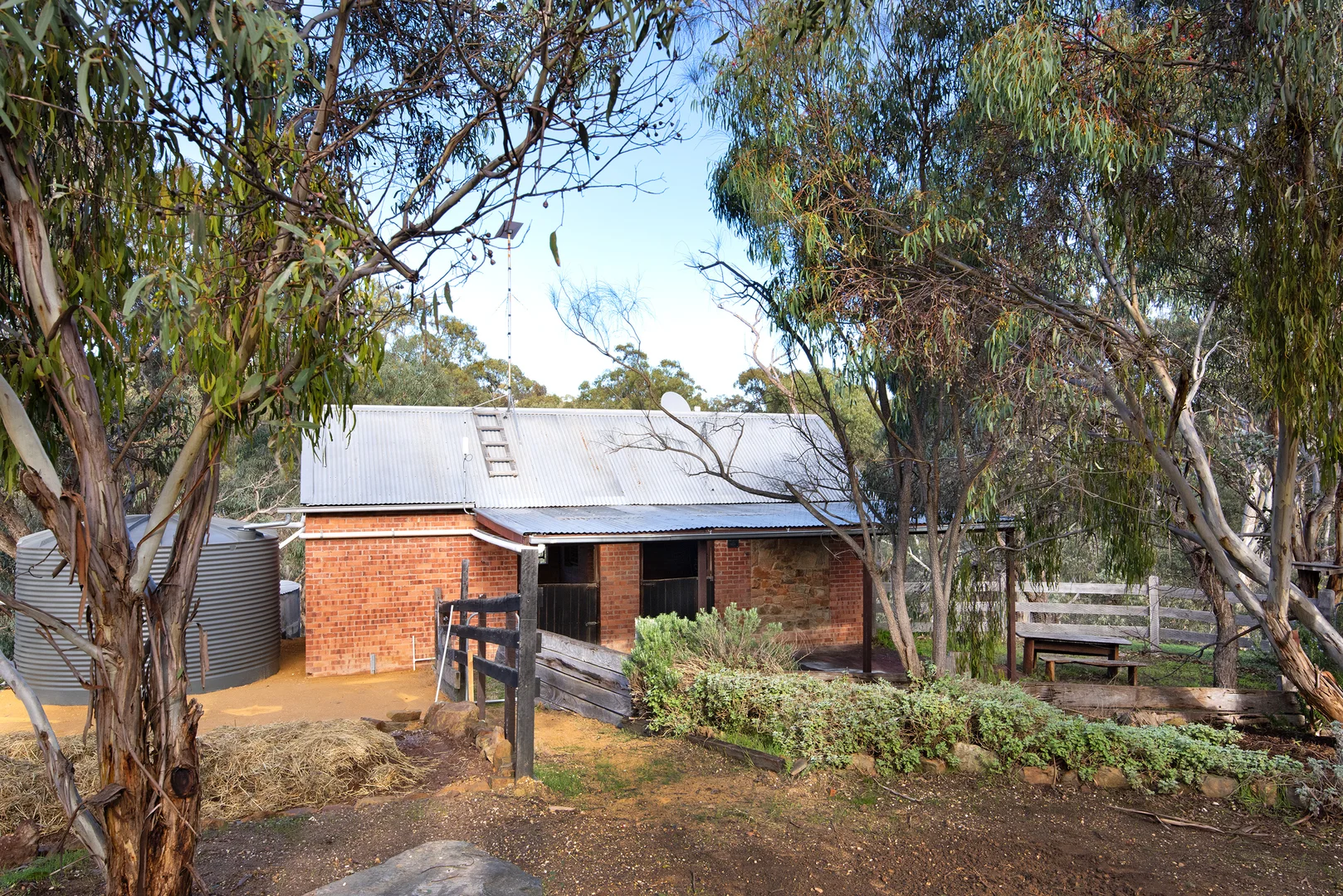 Image 21