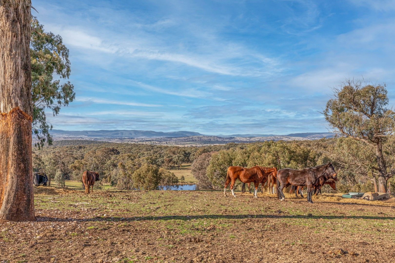 190 James White Drive, Fosters Valley NSW 2795, Image 0