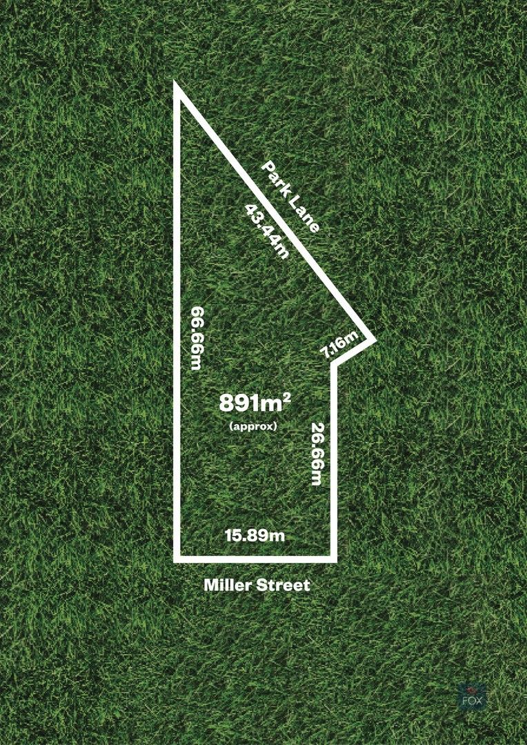 14. Miller Street, Unley SA 5061, Image 0