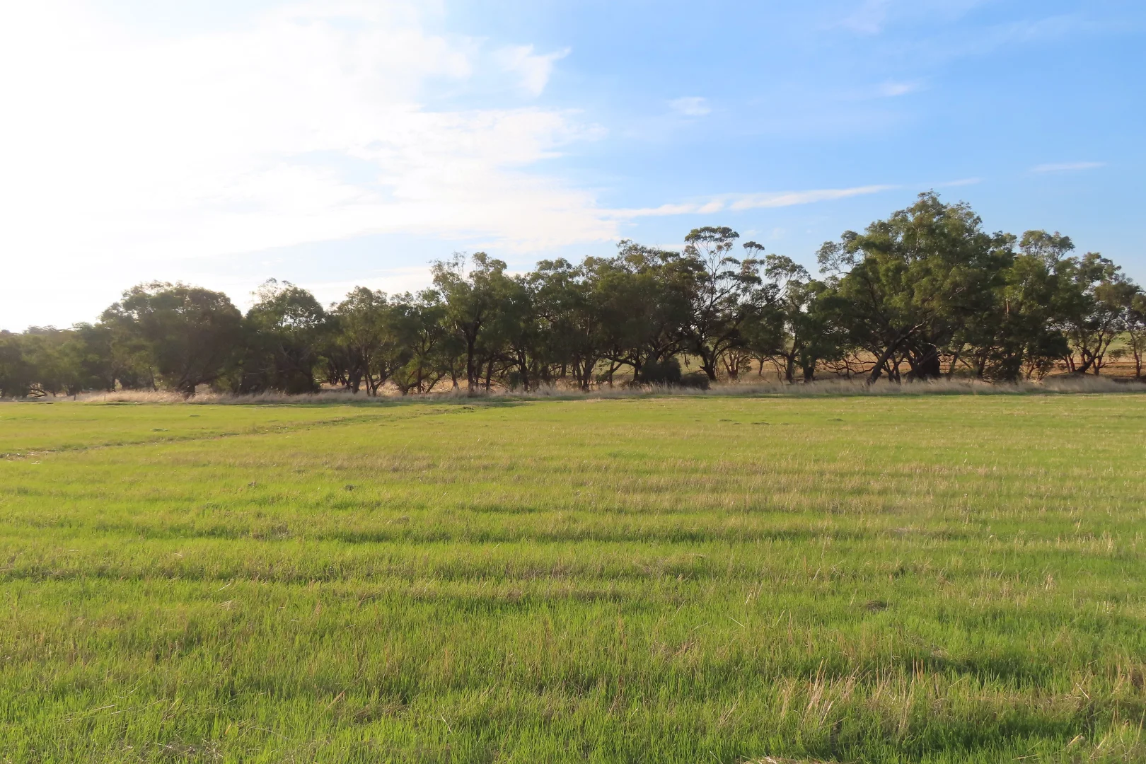 Additional image 4 of Lot 12 Barndon Street, Spencers Brook WA 6401