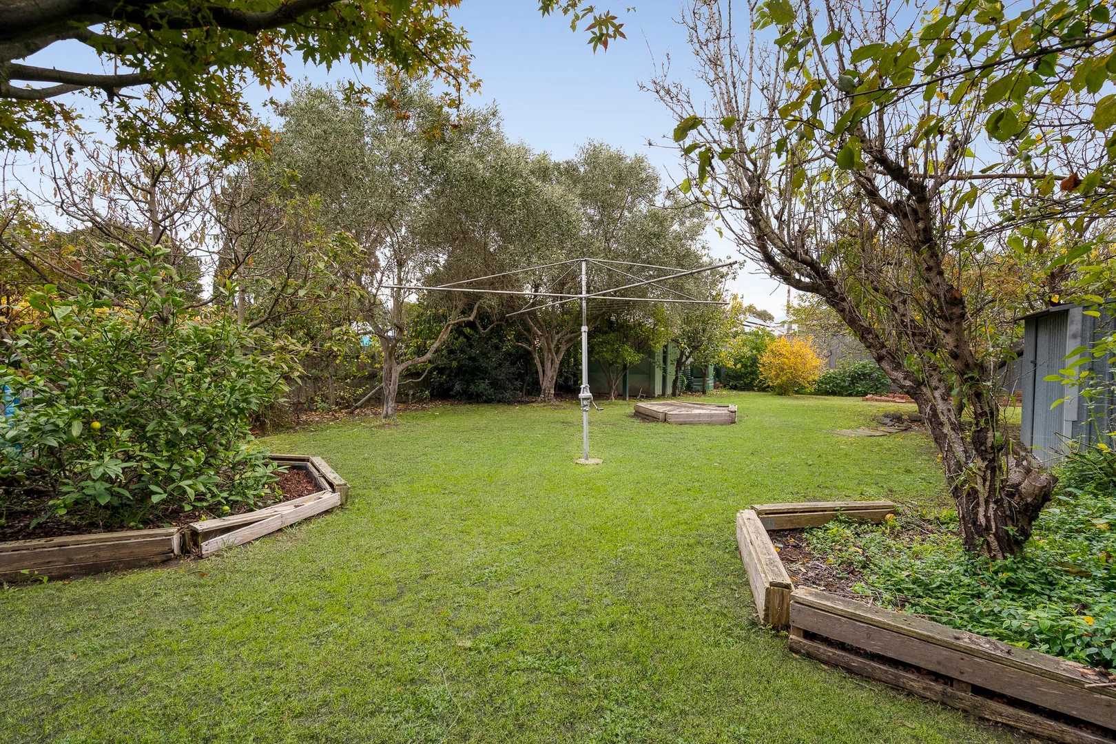 Image 15