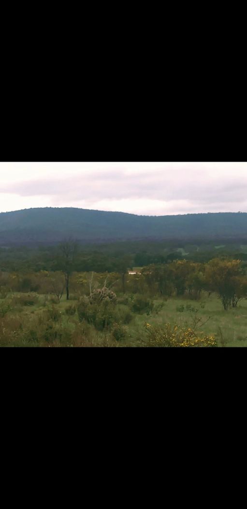 170 Rifle Butts Road, Landsborough VIC 3384 Rural Lifestyle Property