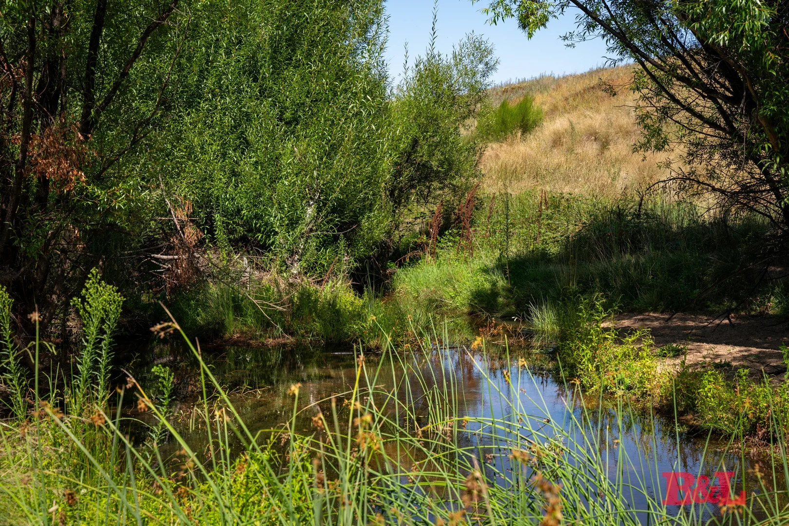 Image 12