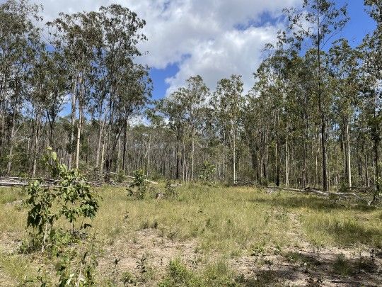 Rural in 4/919 Clearfield Road, MYRTLE CREEK NSW, 2469