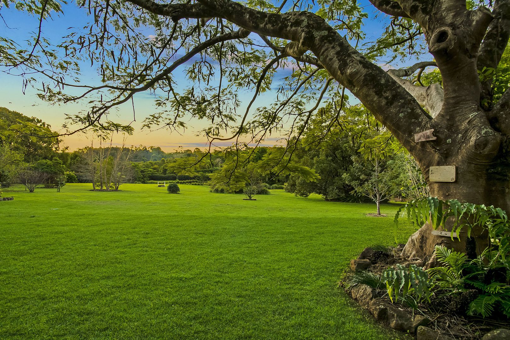 10 Myocum Downs Drive, Myocum NSW 2481, Image 1