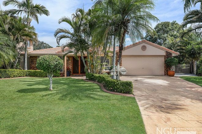 Picture of 3 Amor Court, YAMANTO QLD 4305
