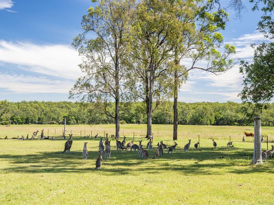 140 Browns Road, Halfway Creek NSW 2460, Image 1