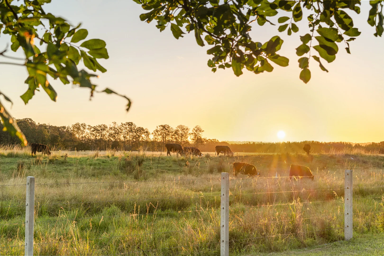 Additional image 23 of 32 Elkhorn Parade, Ballina NSW 2478