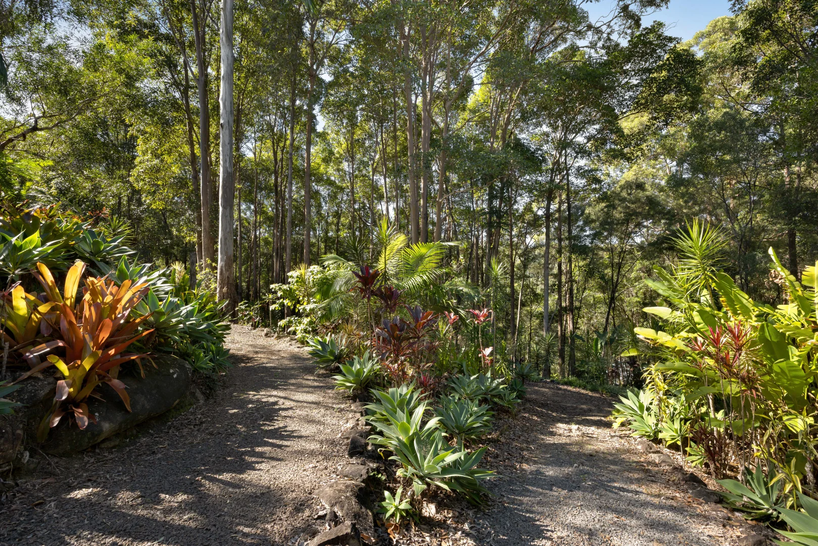 Image 22