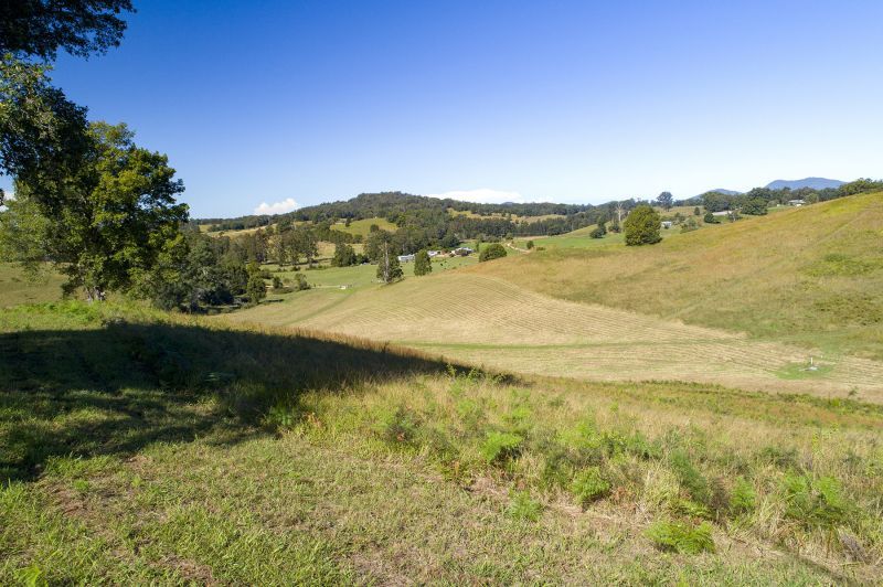 312 Dyers Loop Road, Argents Hill NSW 2449, Image 0