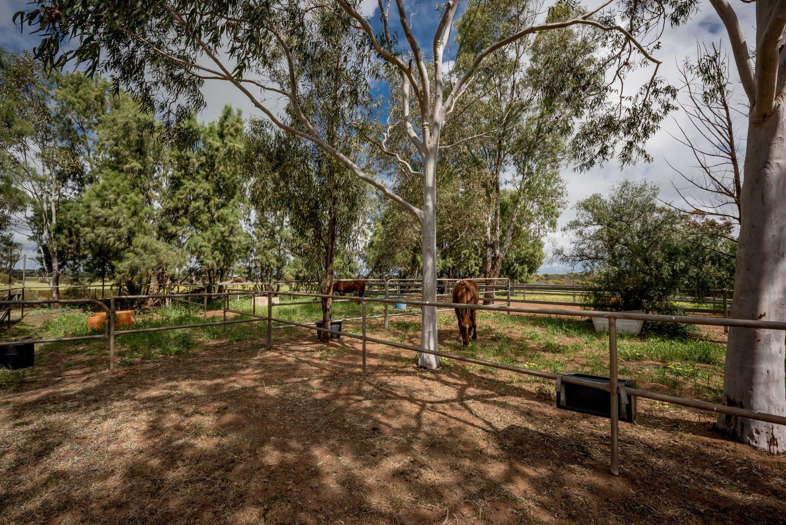 5 Hill River Way, Moonyoonooka WA 6532, Image 0