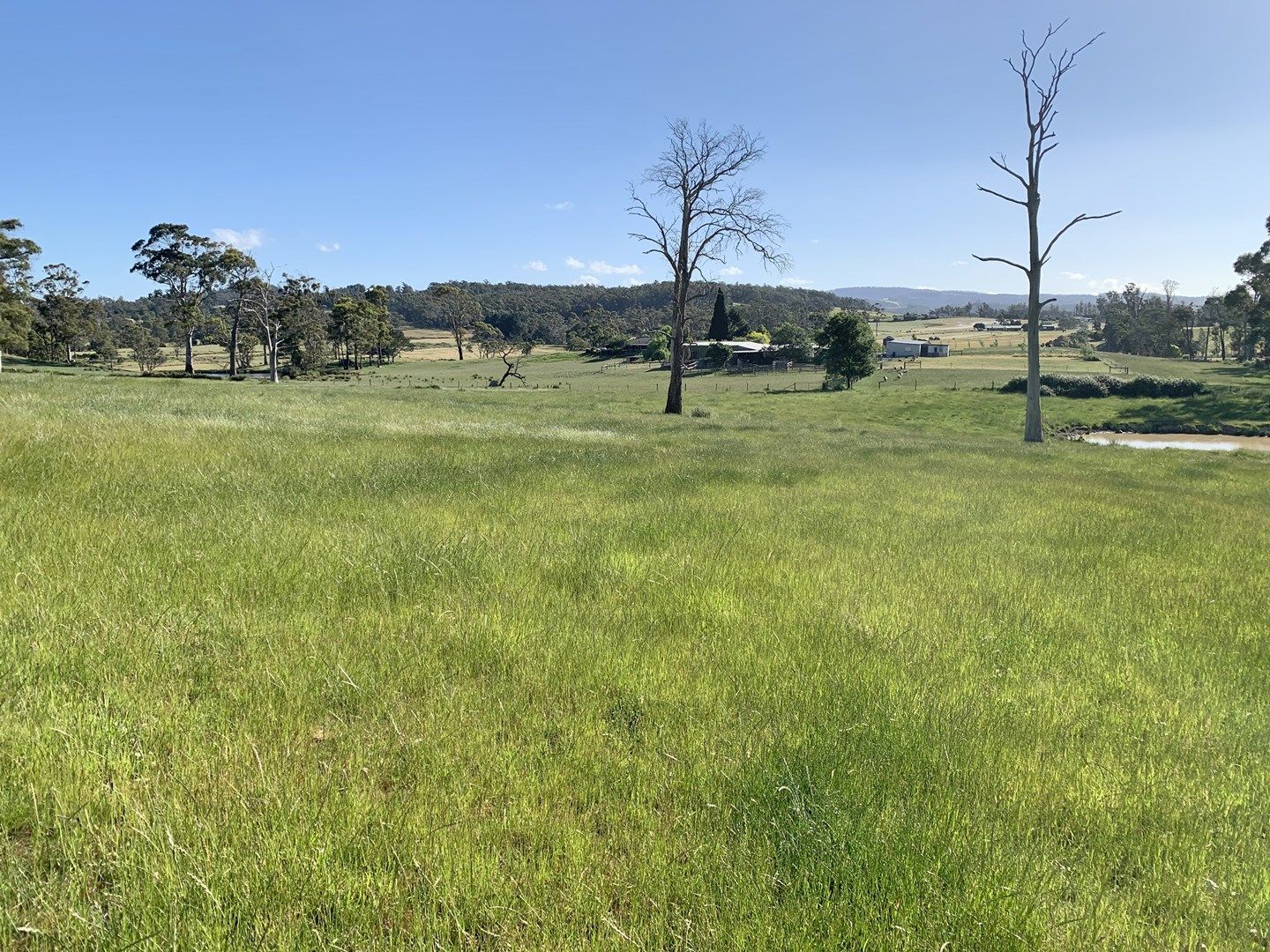 Lot 1 Batman Highway, Sidmouth TAS 7270, Image 0