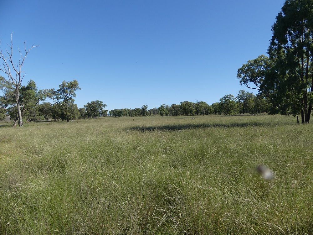 "Hilldale" Warrah Ridge Rd, Quirindi NSW 2343, Image 0