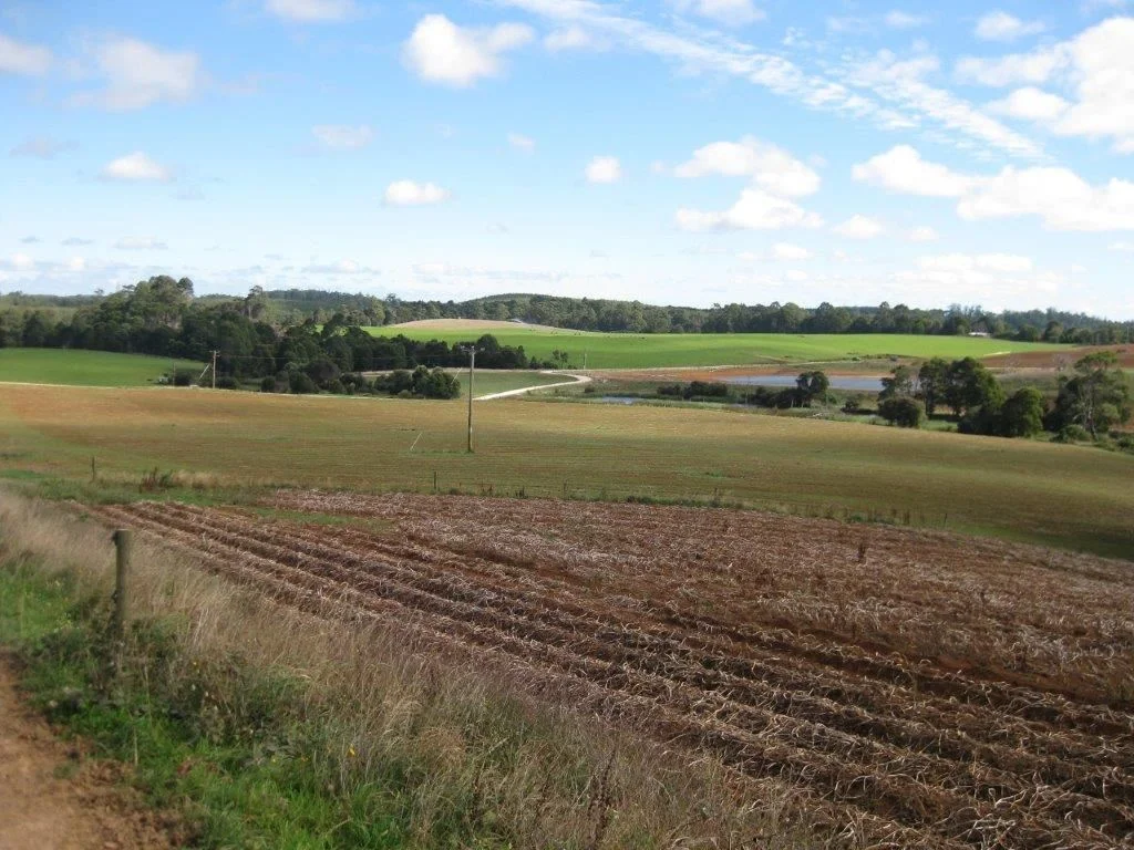 Image 10