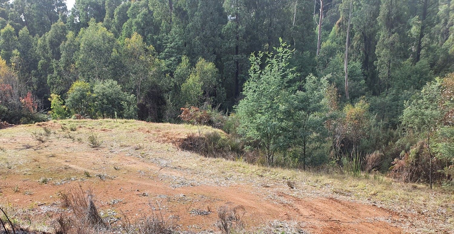 61 Falls Road, Marysville VIC 3779 Domain