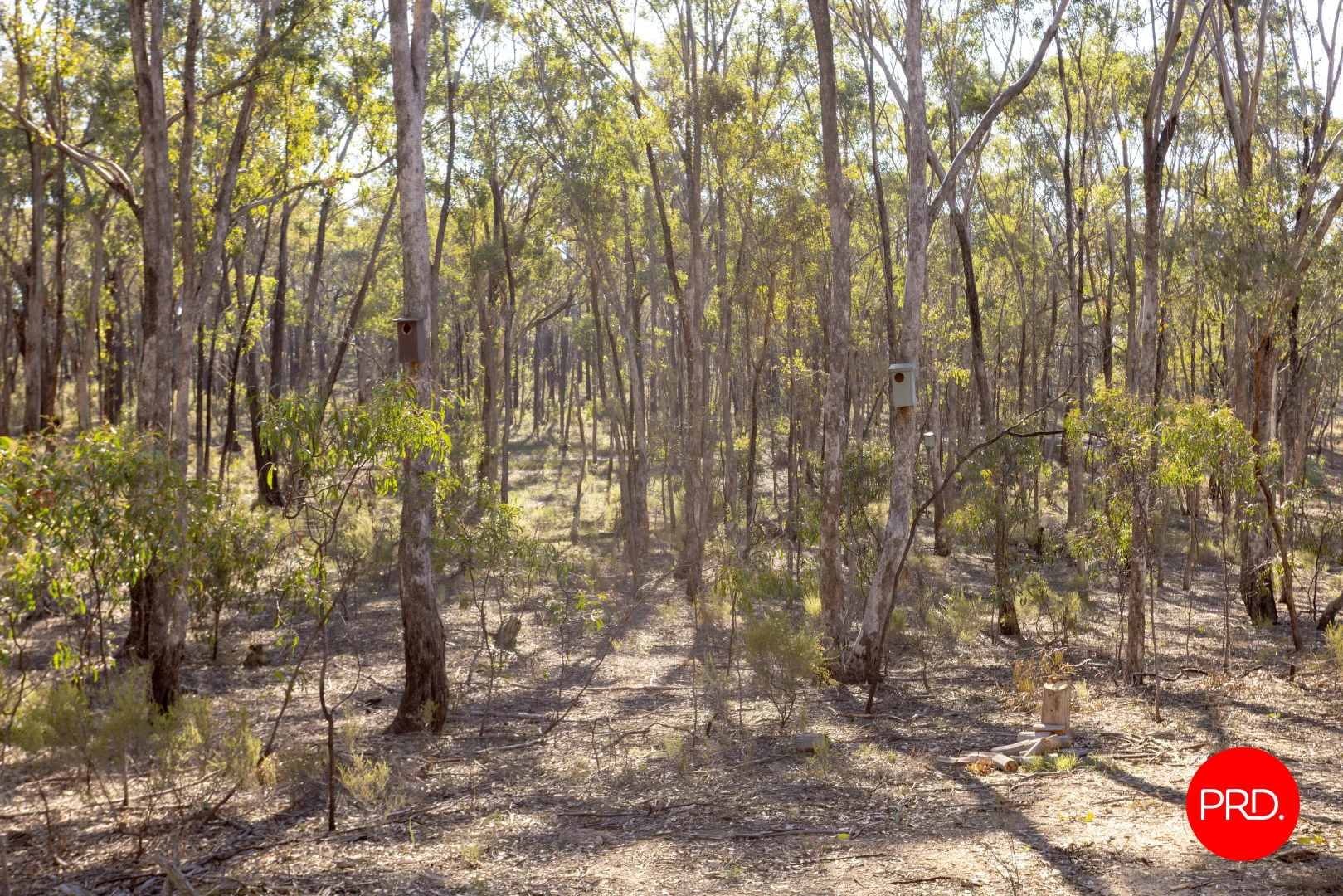 Image 12