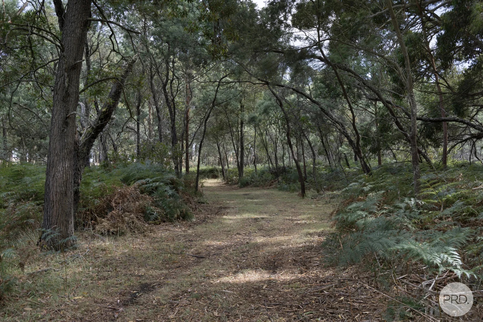 Additional image 6 of 266 Treweeks Road, Blampied VIC 3364