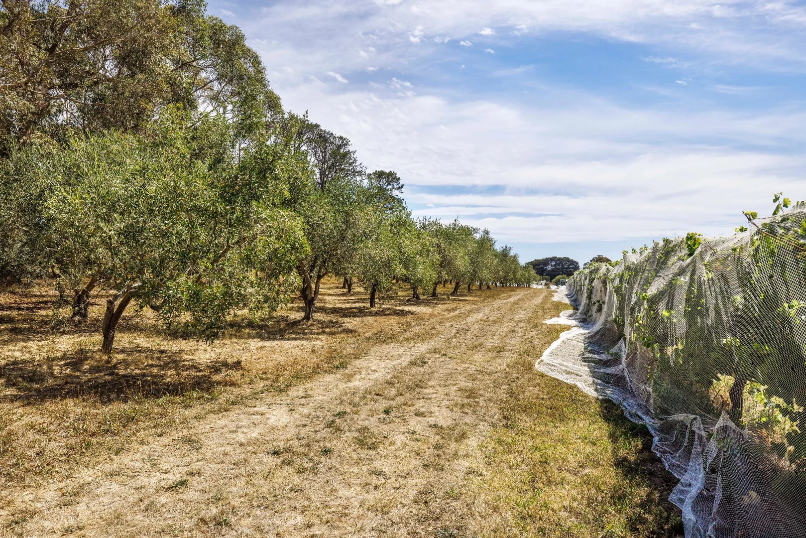 Additional image 18 of 191 Coolart Road, Hastings VIC 3915