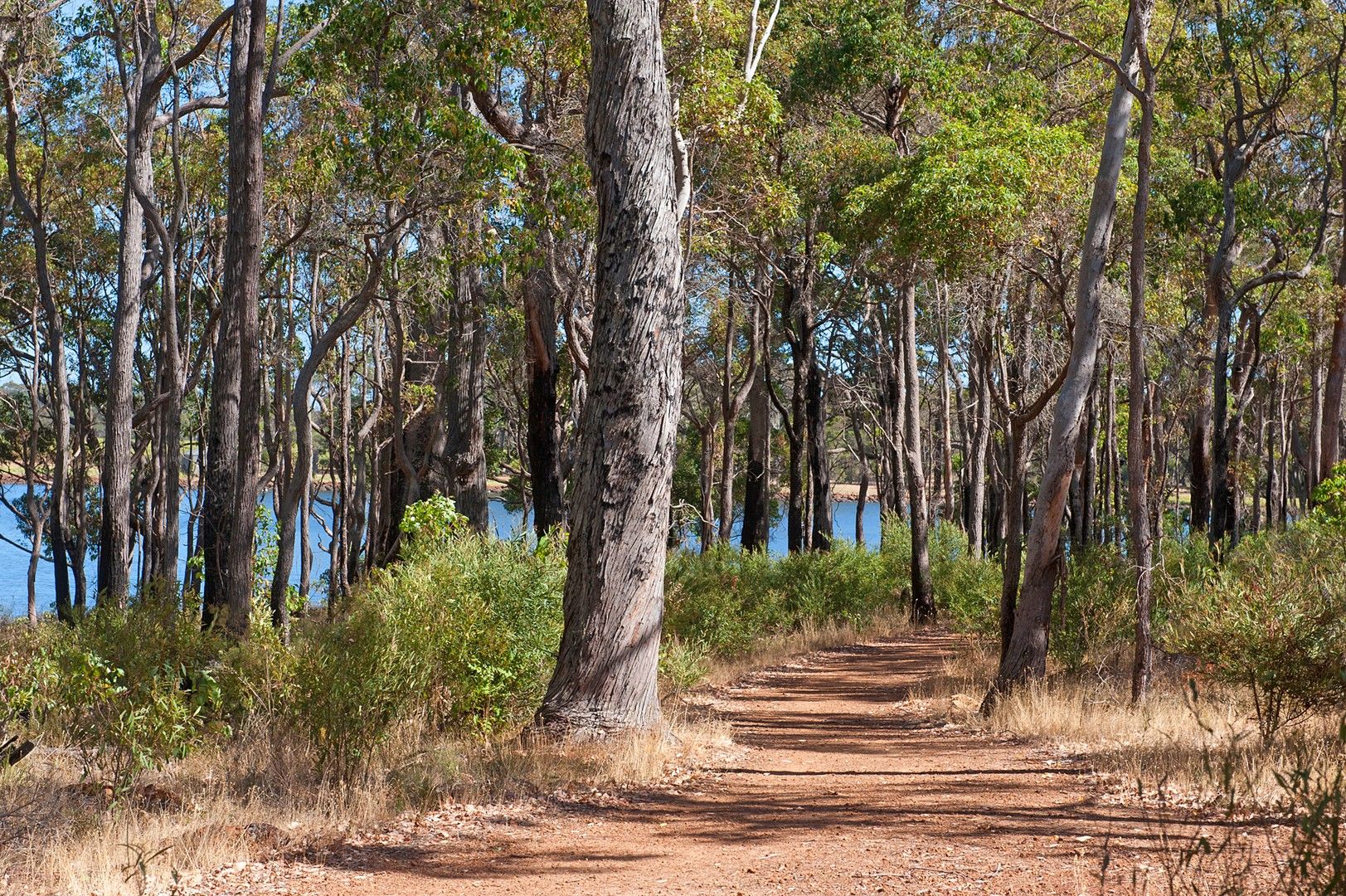 1 Surf Break Drive, Cowaramup WA 6284, Image 1