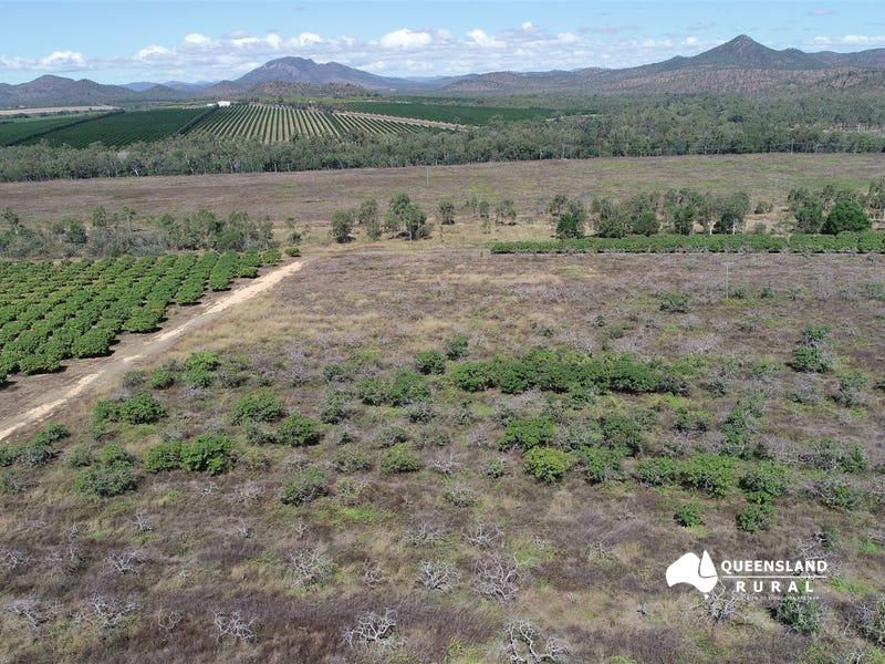 131 Bullaburrah Creek Road, Dimbulah QLD 4872 Specialist Farm for Sale