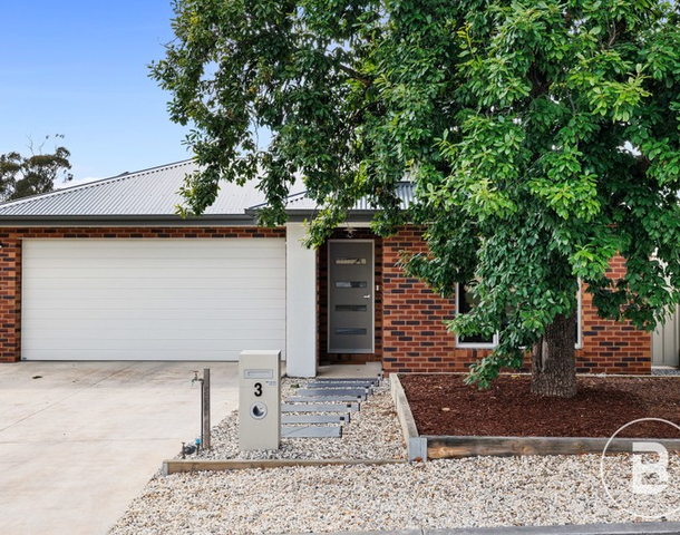 3/21 Heinz Street, White Hills VIC 3550