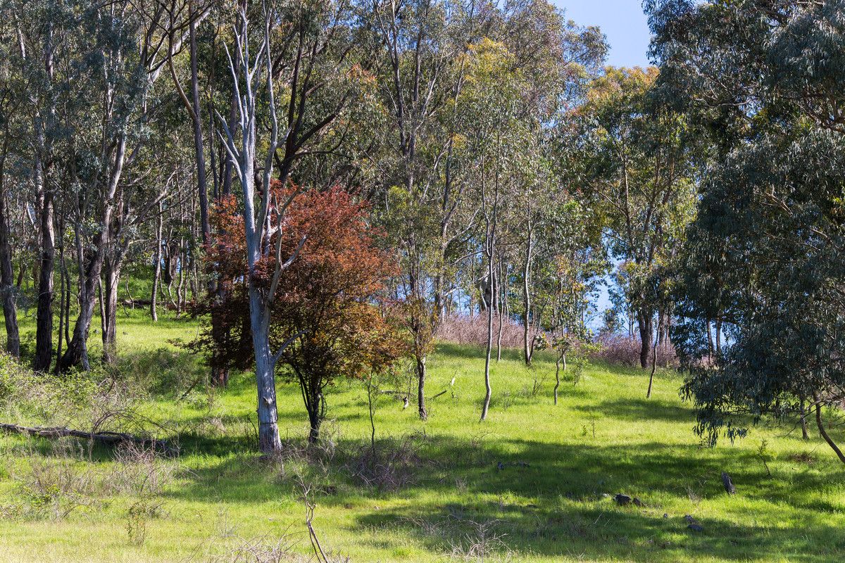 Springvale Lane, Kiewa VIC 3691, Image 1