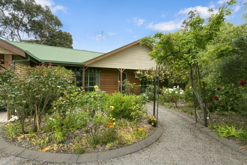 19 Elizabeth Street, Anglesea VIC 3230, Image 0