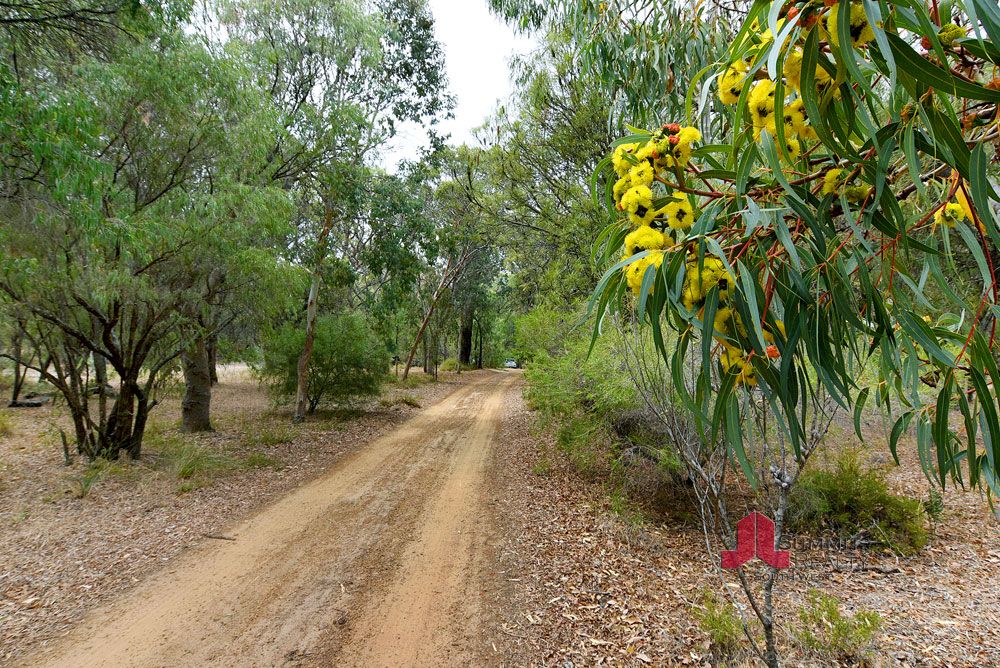 32 Ramsay Road, Stratham WA 6237, Image 2