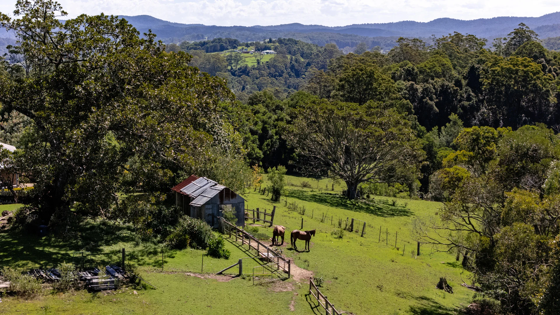 Image 13