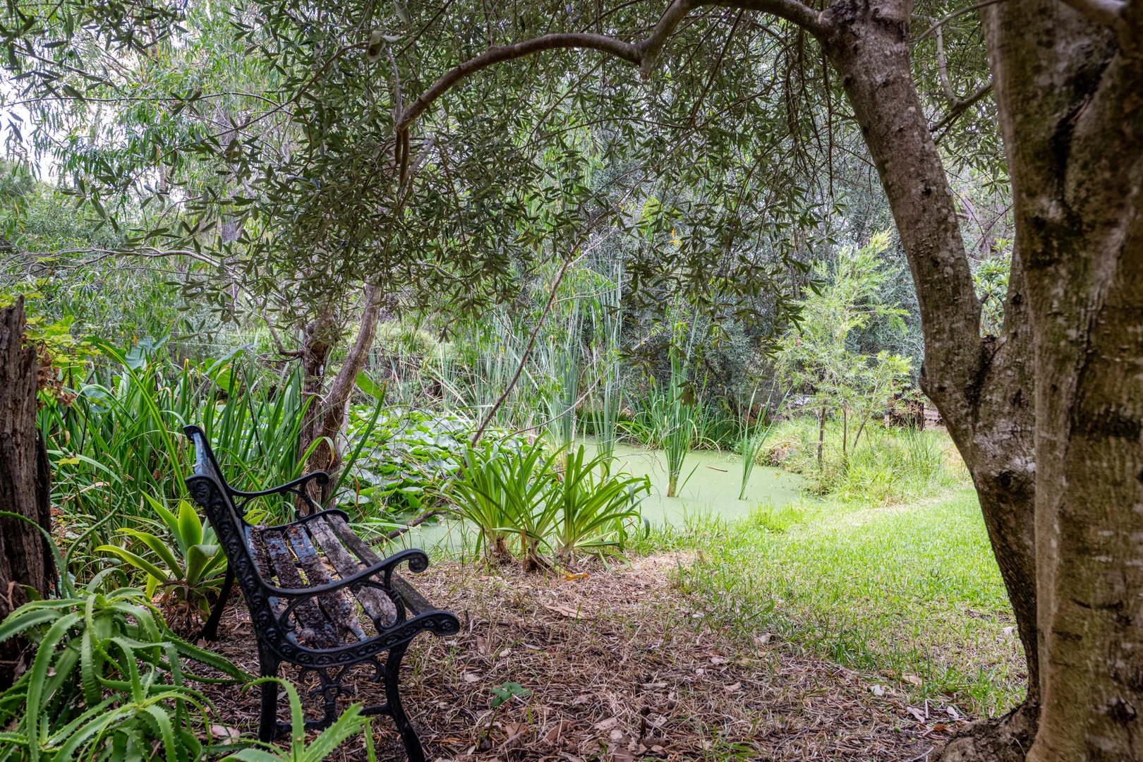 Additional image 20 of 35 Frances Road, Gelorup WA 6230